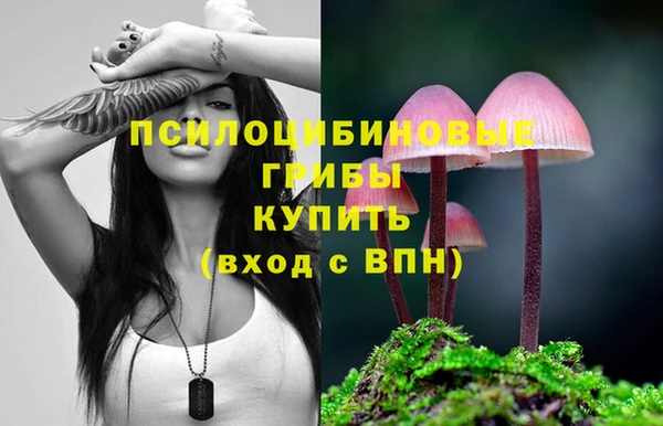 гашиш Алзамай