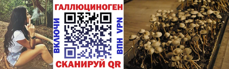 это состав  блэк спрут зеркало  Нытва  Псилоцибиновые грибы Cubensis 